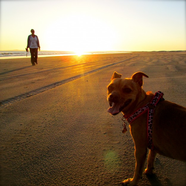 Me and Victoria on the beach near San Quintin. I got to run around off leash!